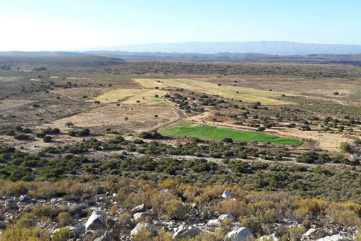 Ladismith, Western Cape - 123 ha Water-Rich Farm for Sale - Photo 2