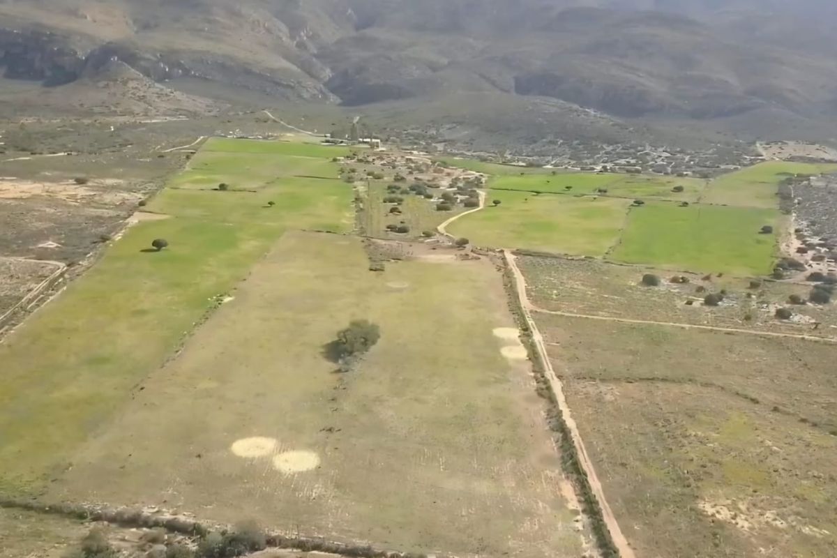 Ladismith, Western Cape - 123 ha Water-Rich Farm for Sale - Photo 3
