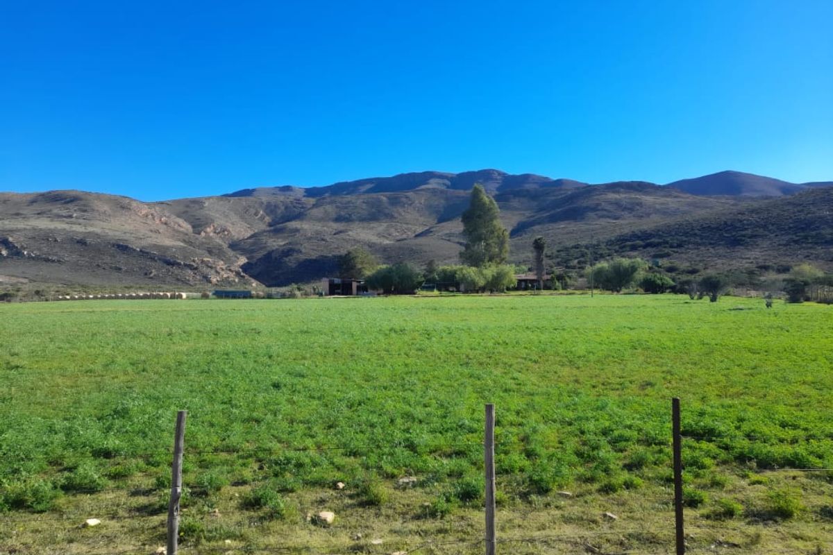 Ladismith, Western Cape - 123 ha Water-Rich Farm for Sale - Photo 4