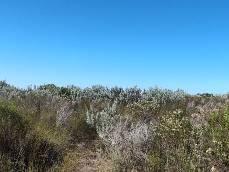 Prime 42ha Vegetable Farm for Sale - Photo 8