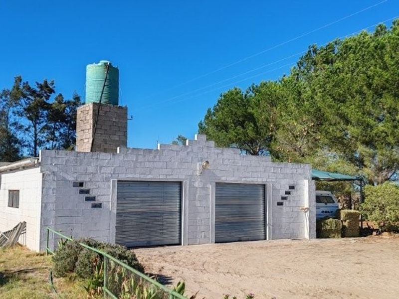 Prime 42ha Vegetable Farm for Sale - Photo 9