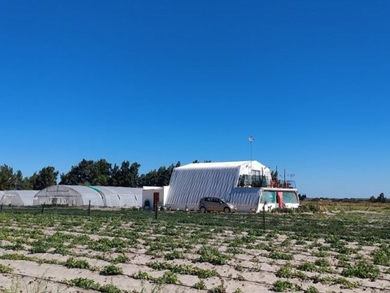 Prime 42ha Vegetable Farm for Sale - Photo 4