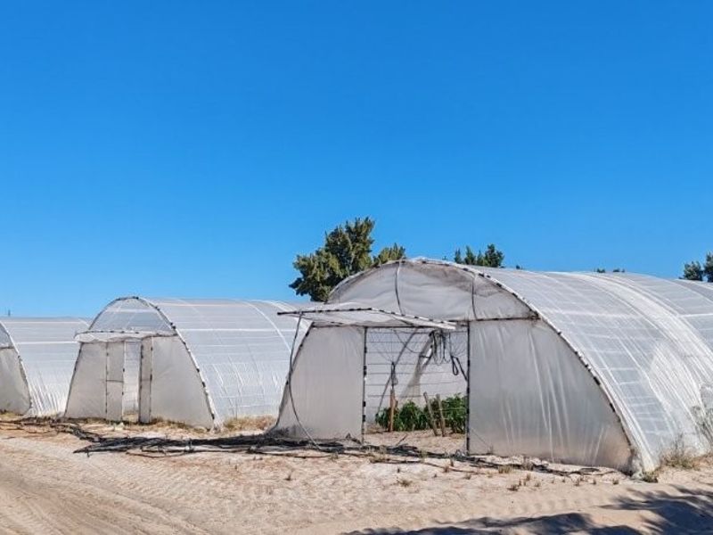 Prime 42ha Vegetable Farm for Sale - Photo 3