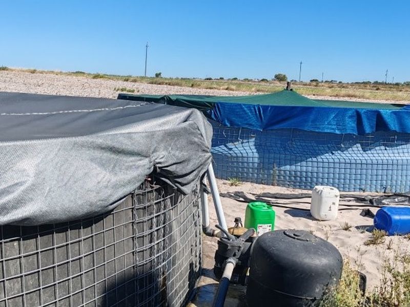 Prime 42ha Vegetable Farm for Sale - Photo 5