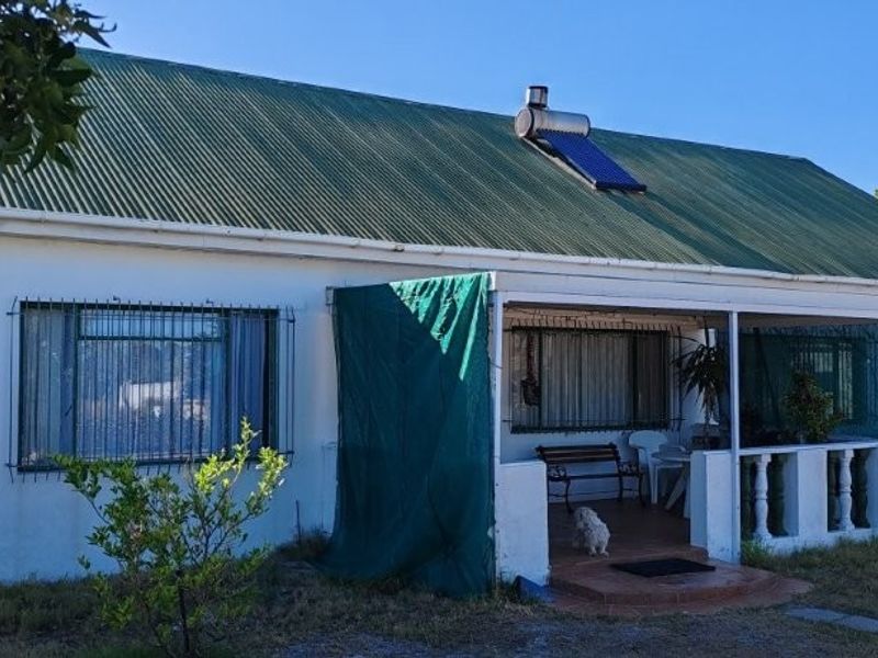 Prime 42ha Vegetable Farm for Sale - Photo 10