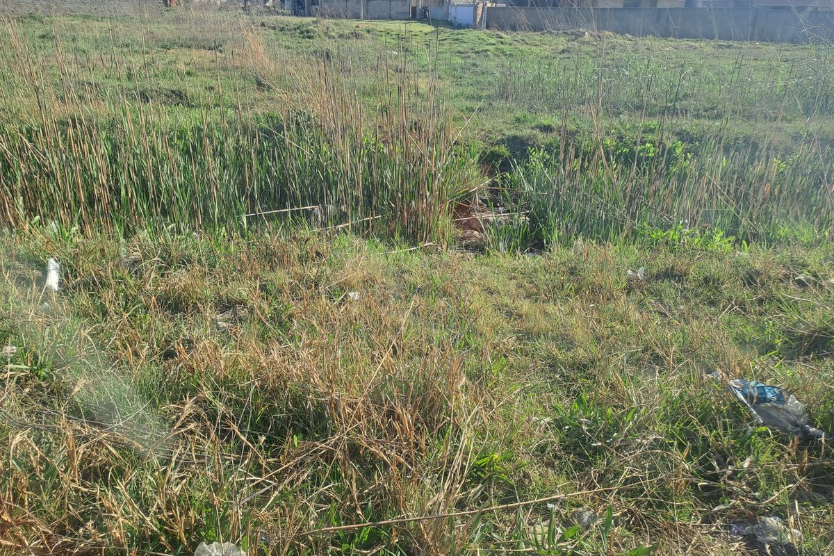 Build the dream hou you have been long for on this hug piece of land - Photo 4