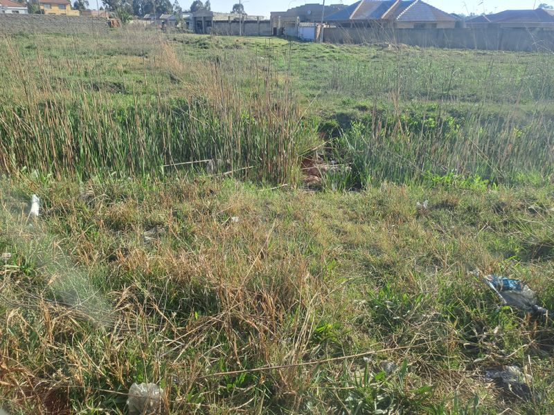 Build the dream hou you have been long for on this hug piece of land - Photo 4