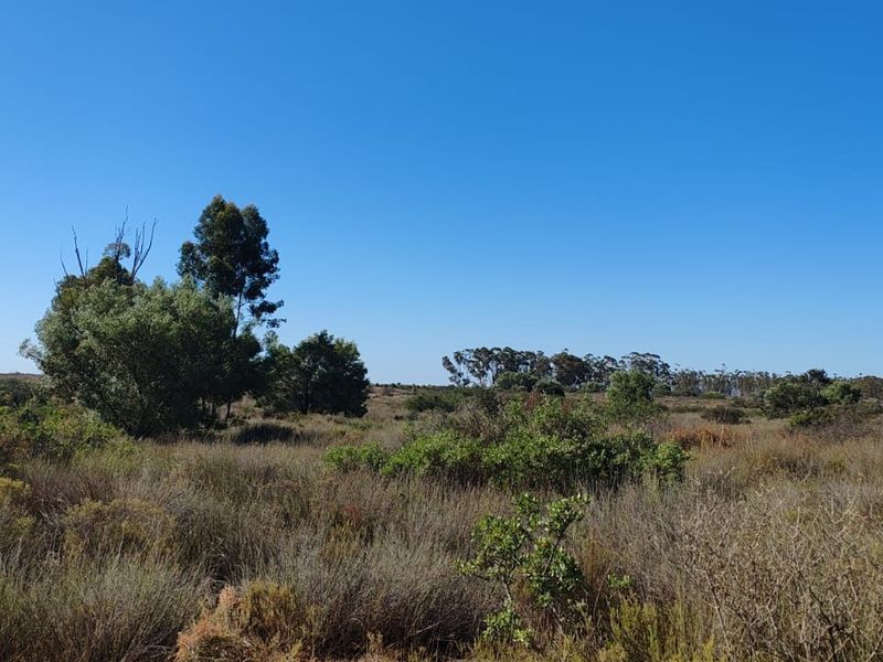 Hopefield Farm To Let via Tender Process - Photo 3