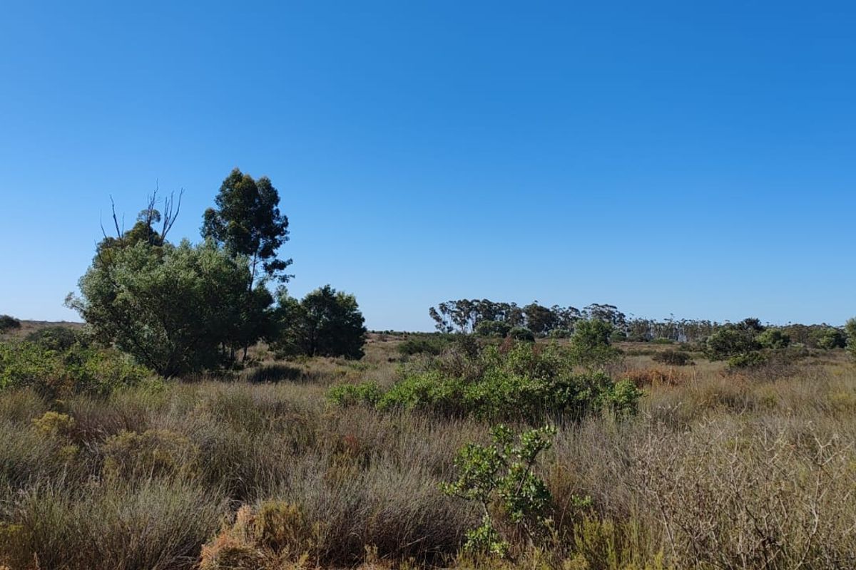 Hopefield Farm To Let via Tender Process - Photo 3