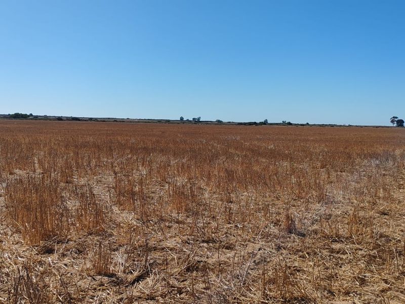 Hopefield Farm To Let via Tender Process - Photo 5