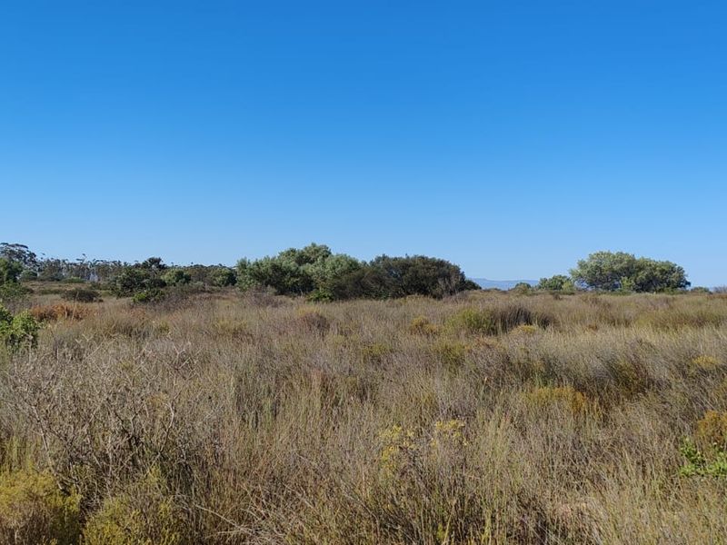 Hopefield Farm To Let via Tender Process - Photo 2