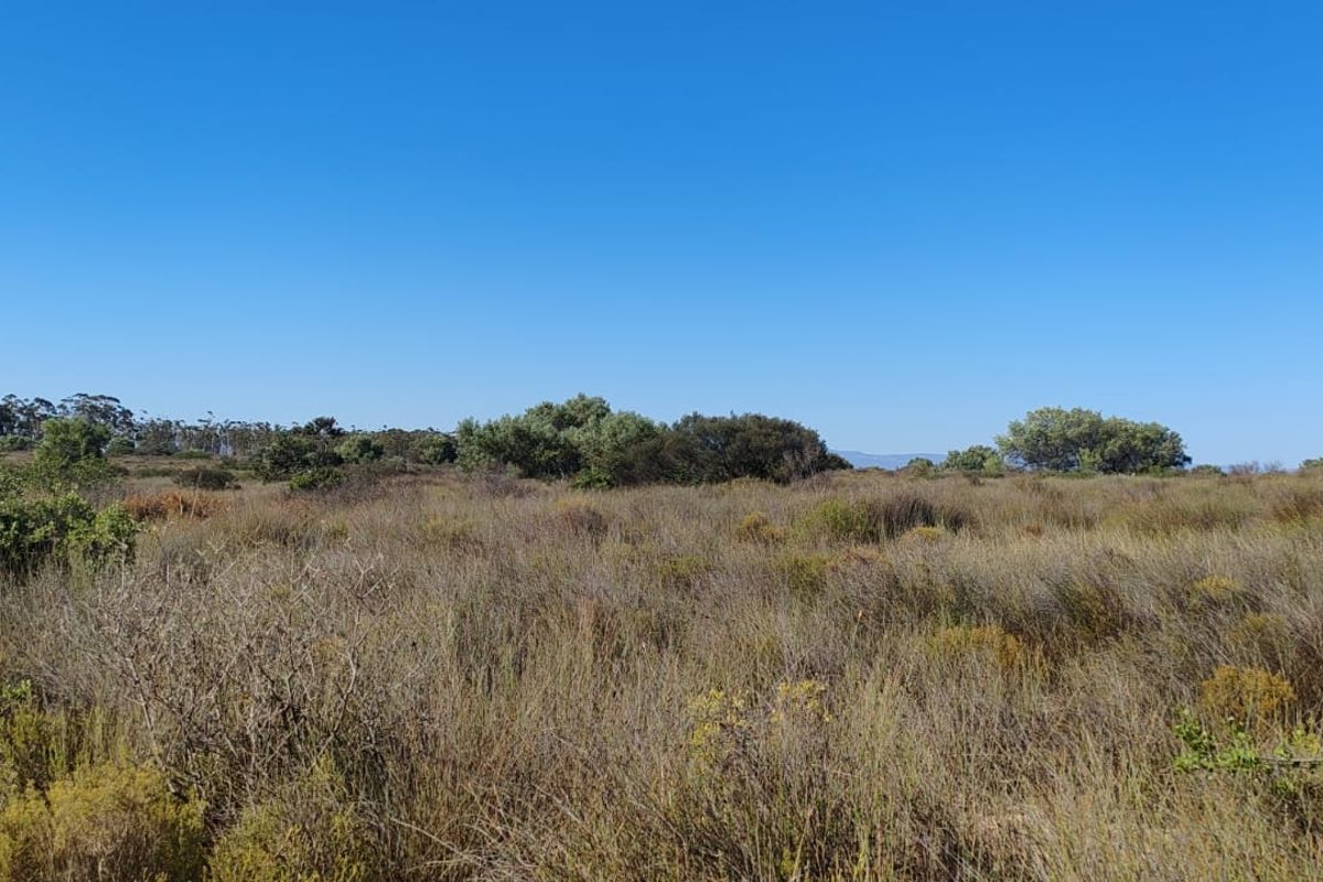 Hopefield Farm To Let via Tender Process - Photo 2