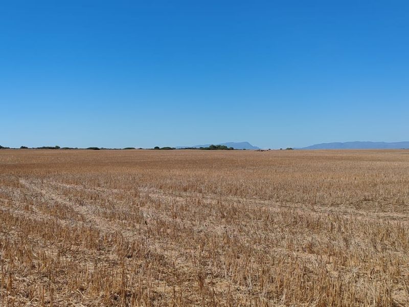 Hopefield Farm To Let via Tender Process - Photo 8