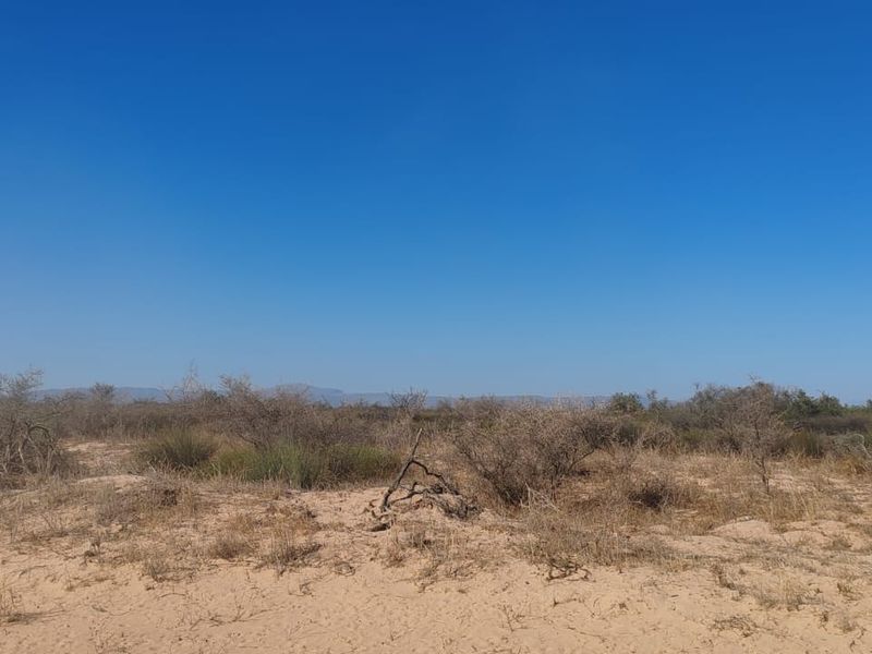 Hopefield Farm To Let via Tender Process - Photo 6