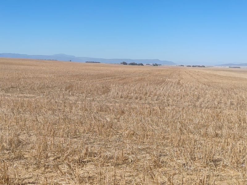 Hopefield Farm To Let via Tender Process - Photo 7