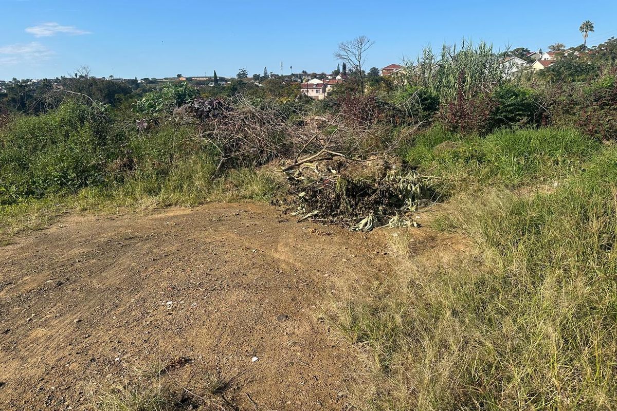 A view of an undeveloped residential plot featuring natural vegetation and cleared ground, offering potential for future landscaping or construction.