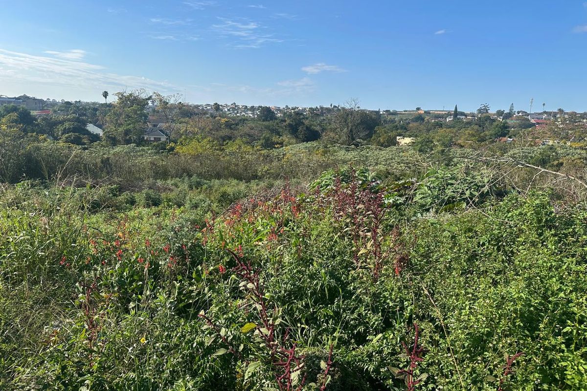 An elevated view overlooking the vacant residential land with surrounding neighborhood landscape and vegetation.
