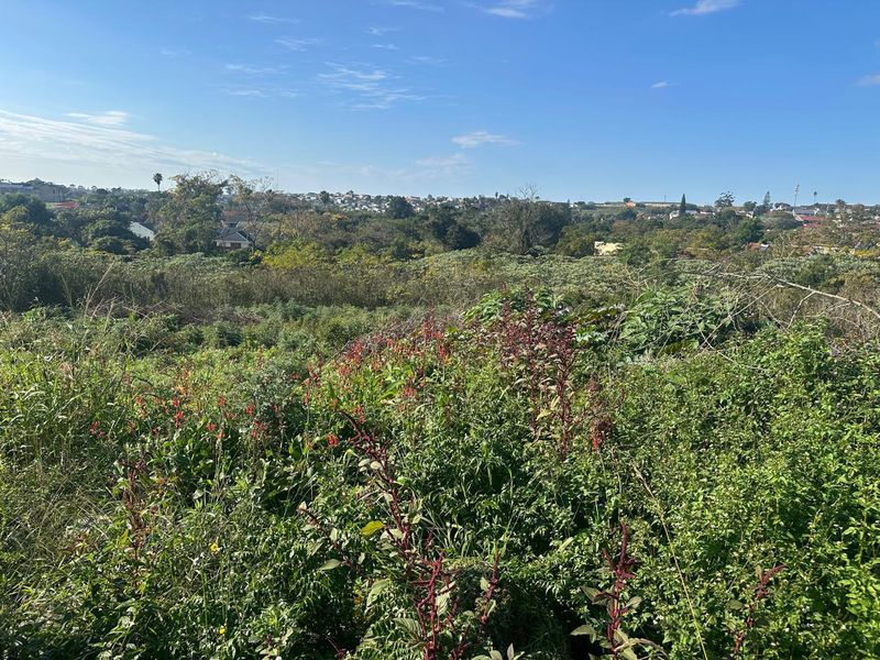 Development land in Amalinda - Photo 3