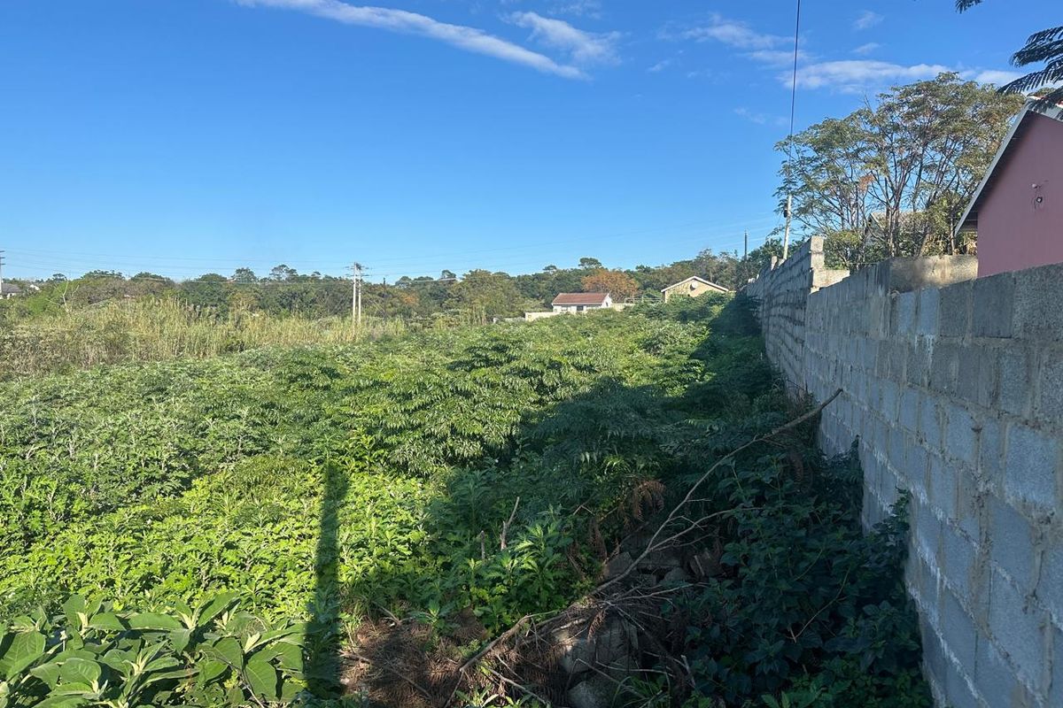 A view of the rear section of the vacant residential land, featuring a concrete block boundary wall and natural vegetation.