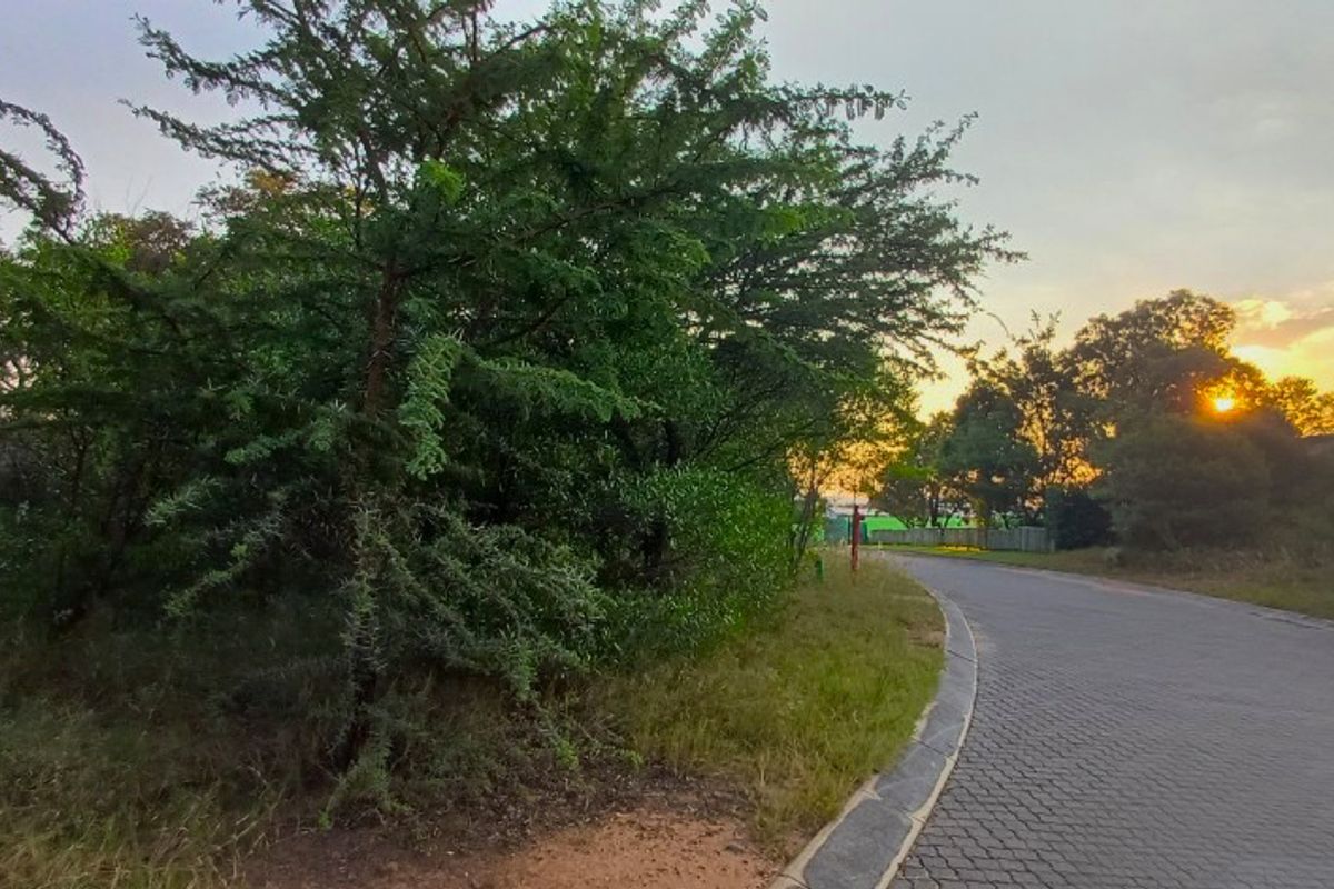 Exclusive Bushveld Living | Prime Stand in Koro Creek Golf Estate - Photo 5