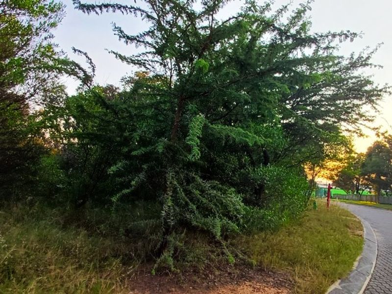 Exclusive Bushveld Living | Prime Stand in Koro Creek Golf Estate - Photo 8