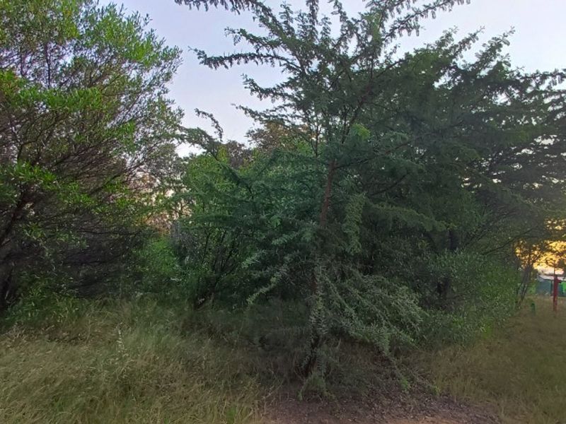 Exclusive Bushveld Living | Prime Stand in Koro Creek Golf Estate - Photo 9