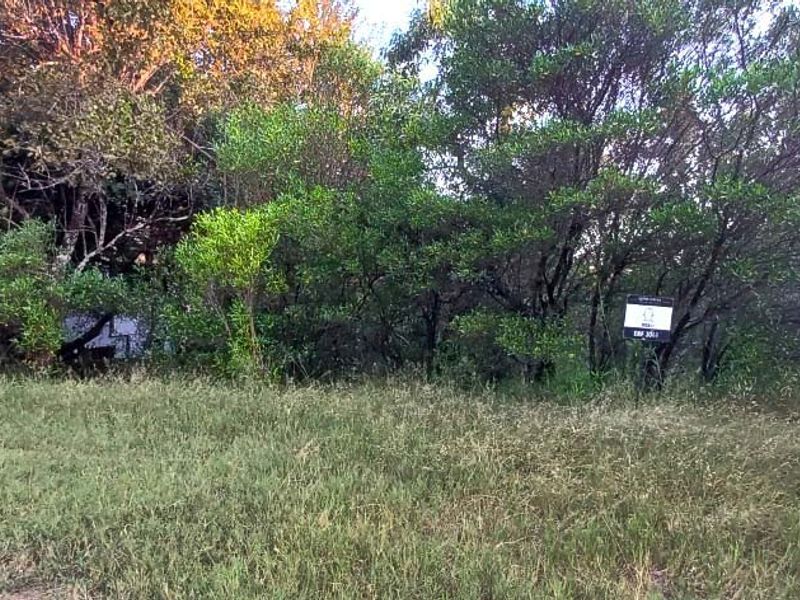 Exclusive Bushveld Living | Prime Stand in Koro Creek Golf Estate - Photo 4