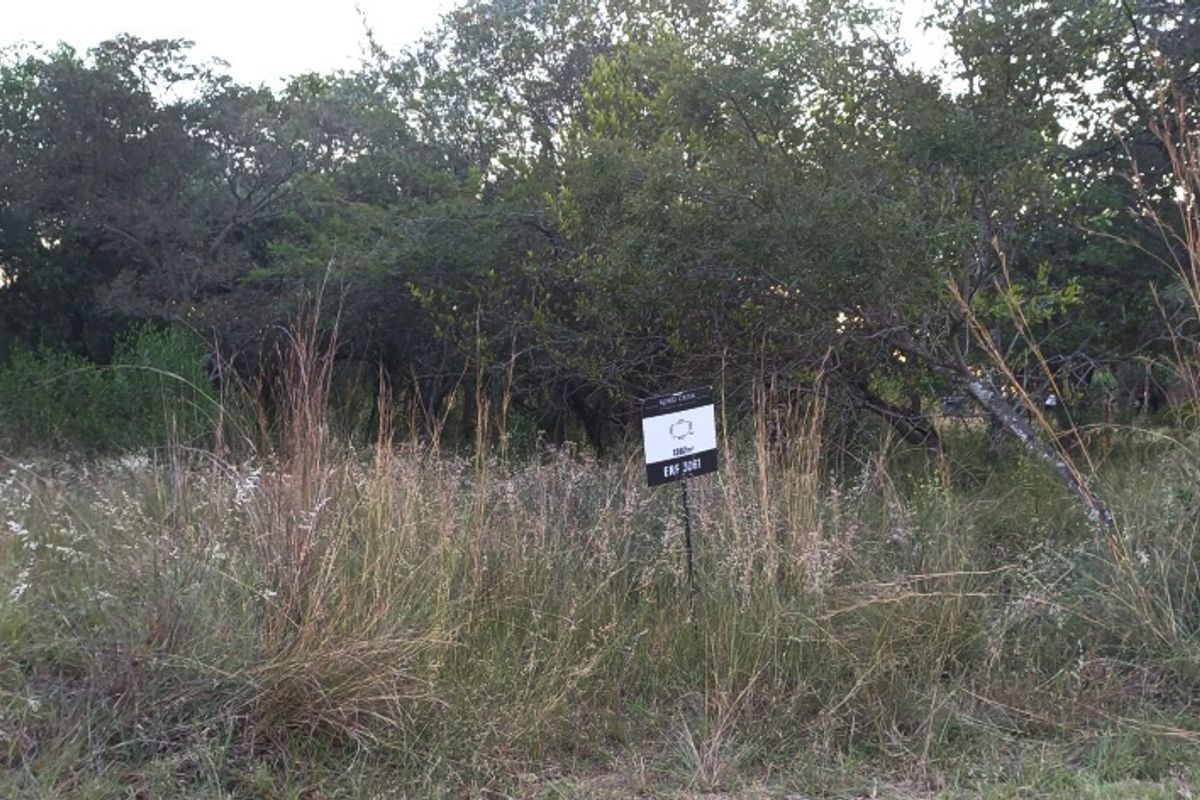 PREMIUM CORNER STAND WITH PRIVATE BUSHVELD BACKDROP. - Photo 4