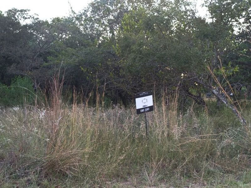 PREMIUM CORNER STAND WITH PRIVATE BUSHVELD BACKDROP. - Photo 4