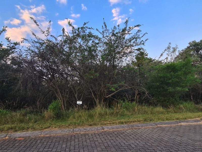 PREMIUM CORNER STAND WITH PRIVATE BUSHVELD BACKDROP. - Photo 10