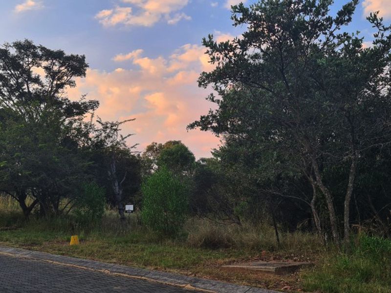 PREMIUM CORNER STAND WITH PRIVATE BUSHVELD BACKDROP. - Photo 9