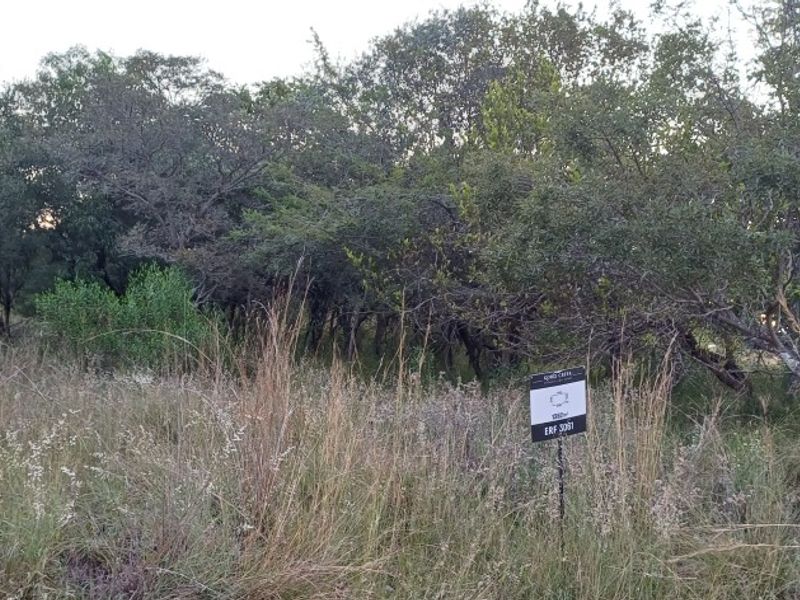 PREMIUM CORNER STAND WITH PRIVATE BUSHVELD BACKDROP. - Photo 8