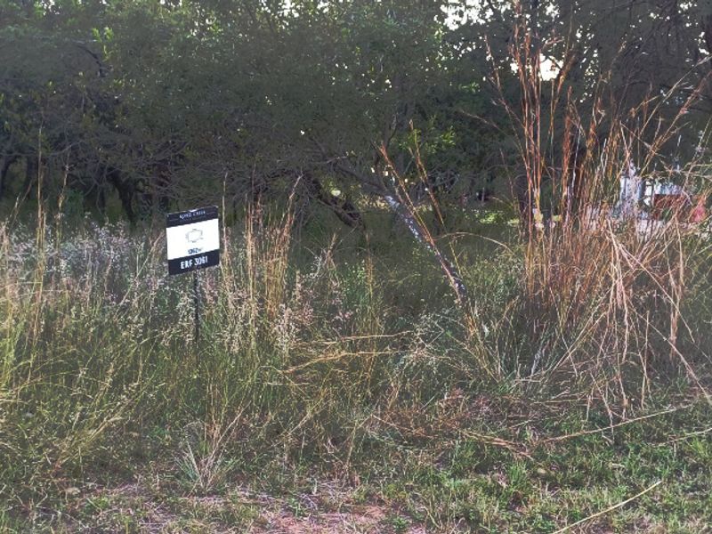 PREMIUM CORNER STAND WITH PRIVATE BUSHVELD BACKDROP. - Photo 7