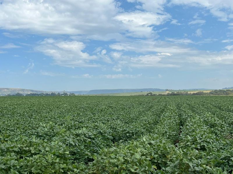 Gevestigde Gemengde Boerdery - Photo 2