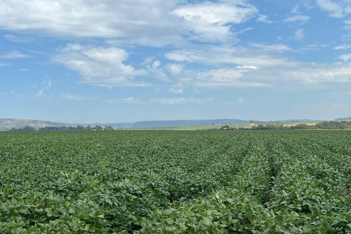 Gevestigde Gemengde Boerdery - Photo 2