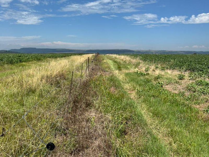 Gevestigde Gemengde Boerdery - Photo 10