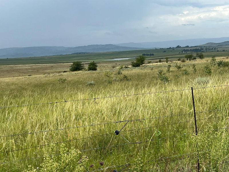 Gevestigde Gemengde Boerdery - Photo 9
