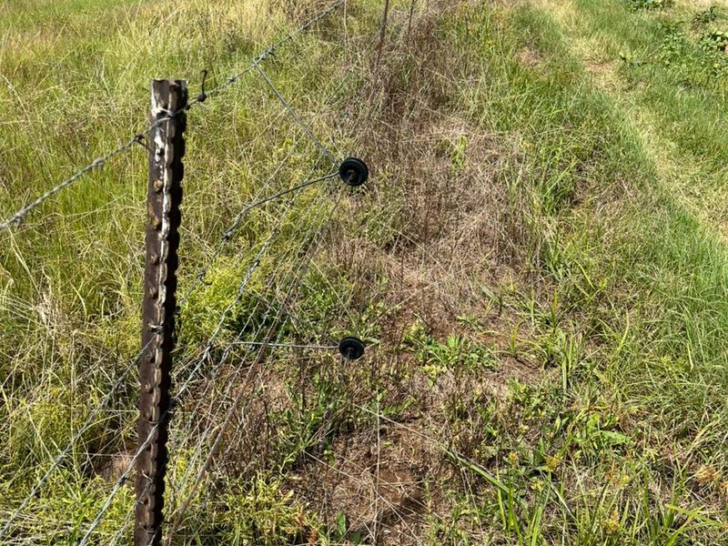 Gevestigde Gemengde Boerdery - Photo 8