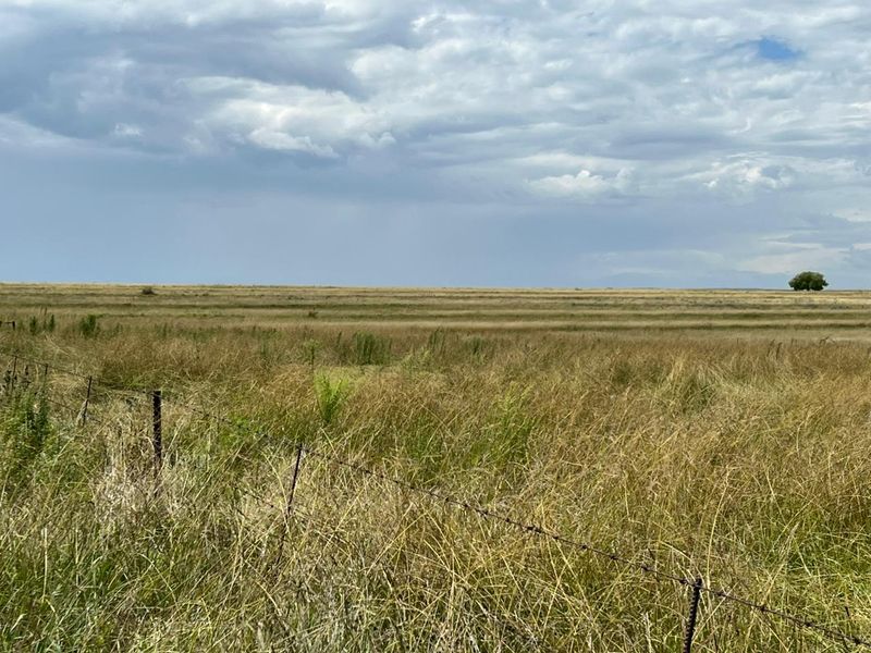 Gevestigde Gemengde Boerdery - Photo 7