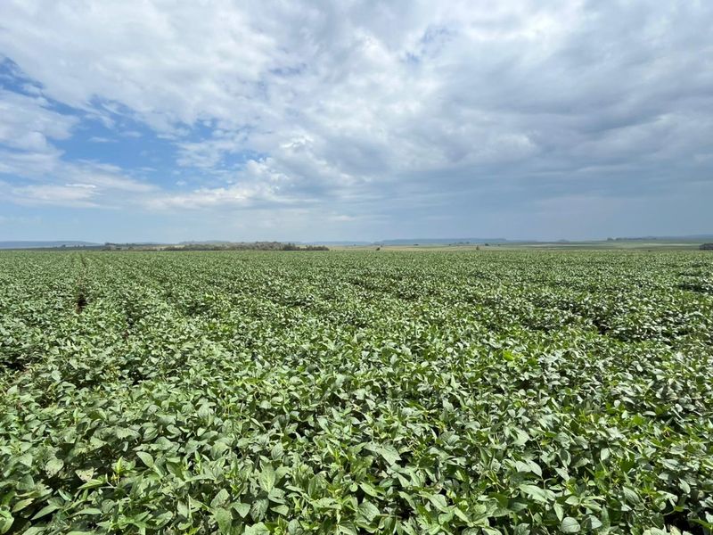 Gevestigde Gemengde Boerdery - Photo 4