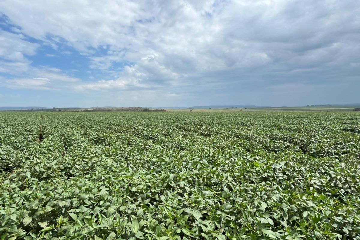 Gevestigde Gemengde Boerdery - Photo 4