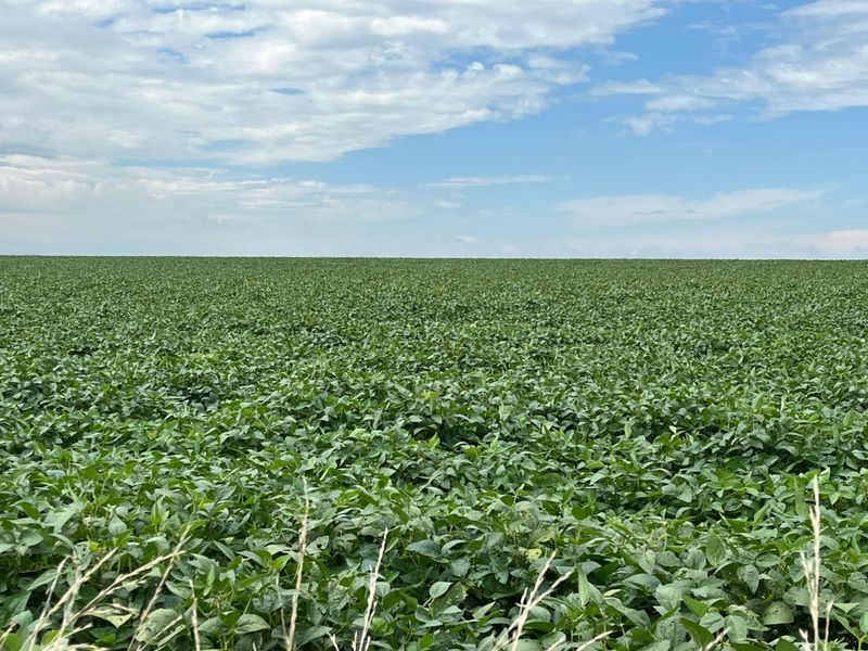 Gevestigde Gemengde Boerdery - Photo 3