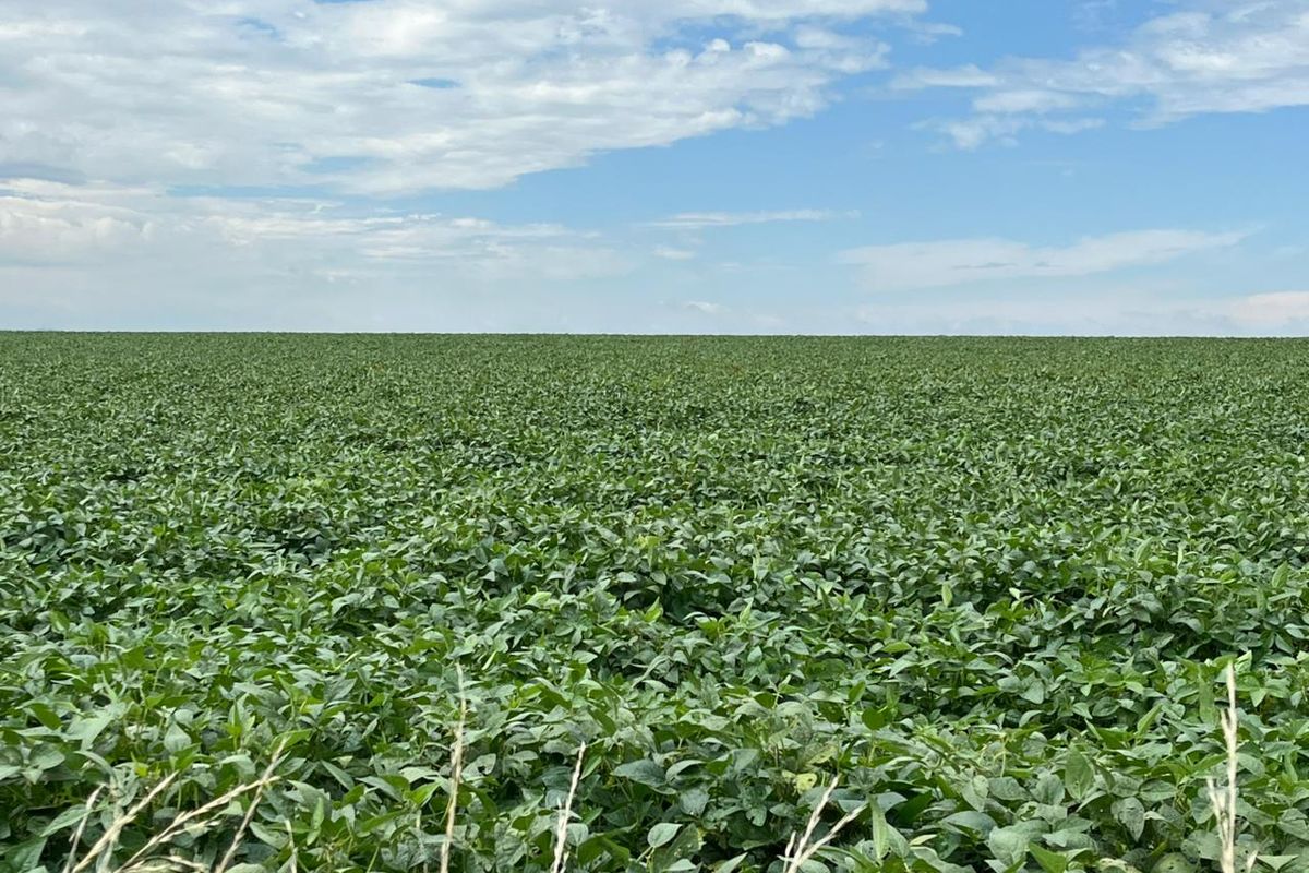 Gevestigde Gemengde Boerdery - Photo 3