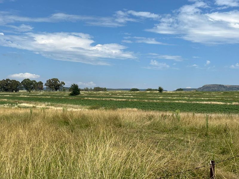 Gevestigde Gemengde Boerdery - Photo 6