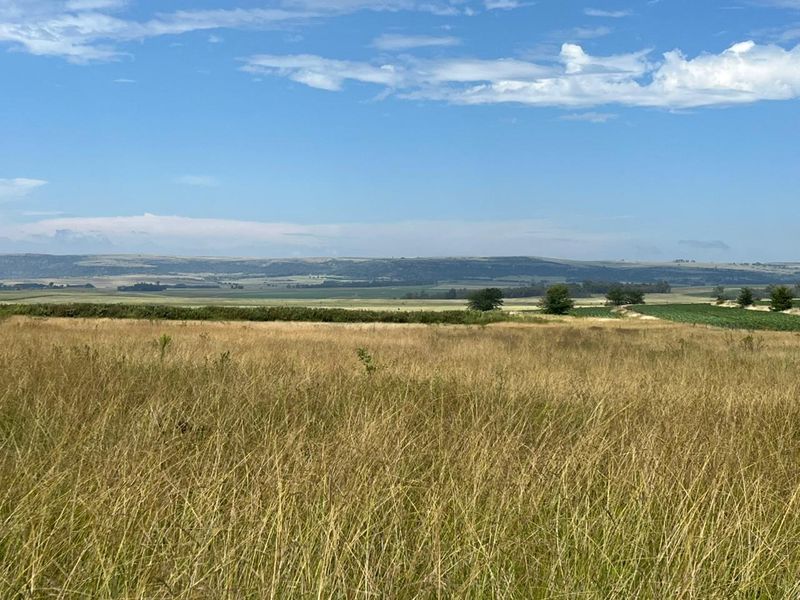 Gevestigde Gemengde Boerdery - Photo 5
