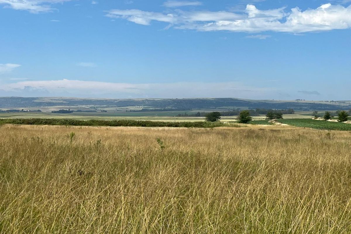 Gevestigde Gemengde Boerdery - Photo 5