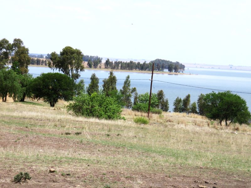 Stand of Land waiting for a designer home build in Oranjeville, Vaal Dam - Photo 6
