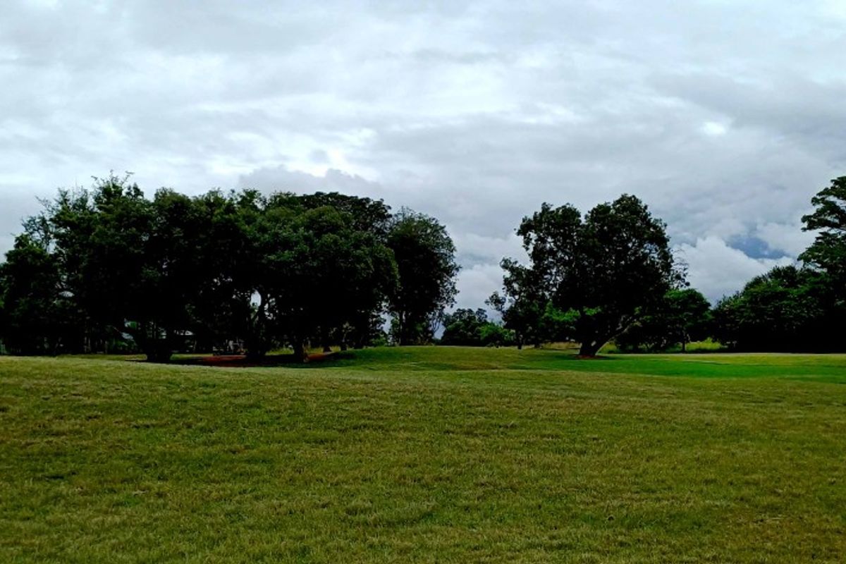 Stand for sale at Koro Creek Golf Estate - Photo 2