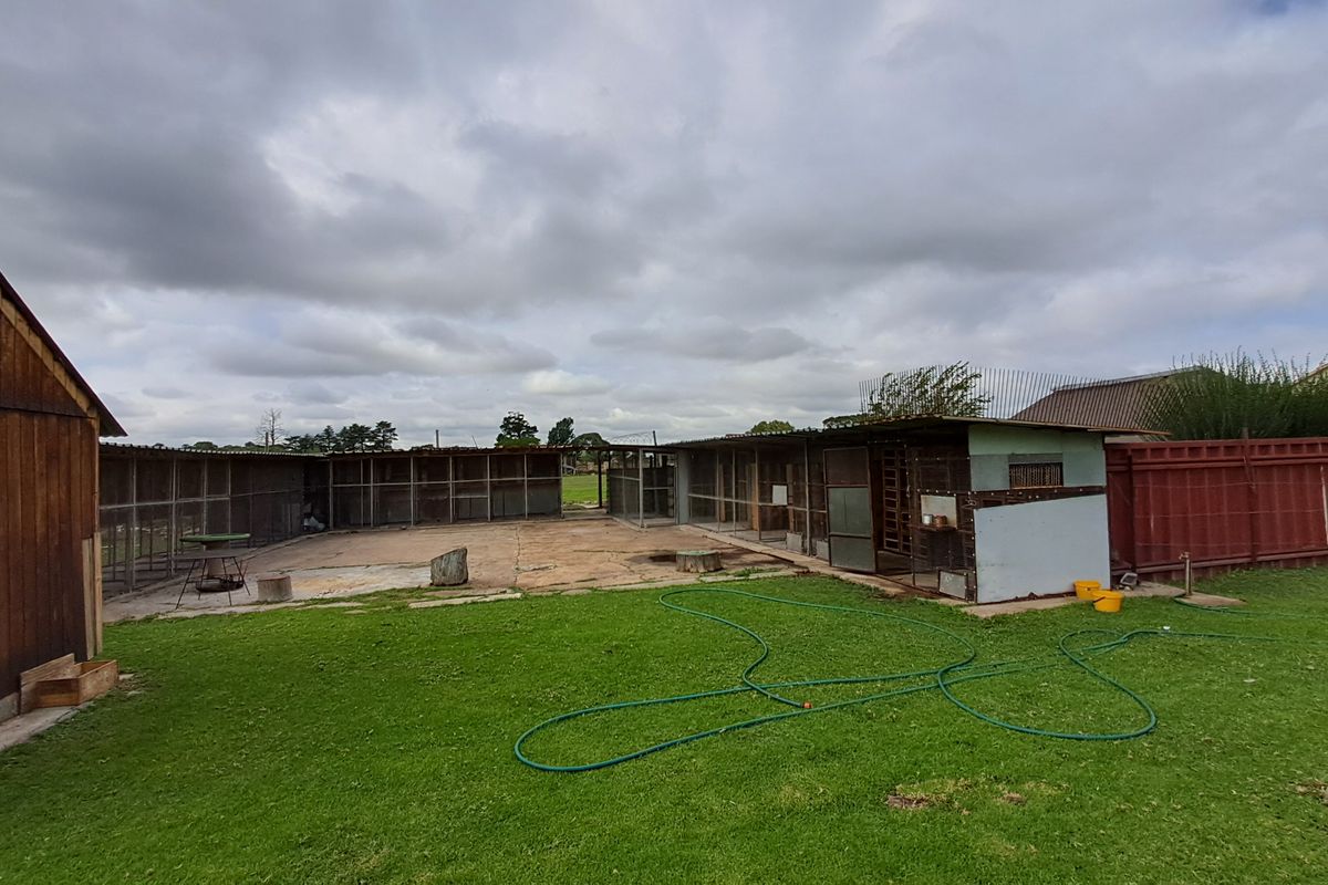 Spacious 1.8 Hectare Smallholding – Endless Potential for Country Living - Photo 4