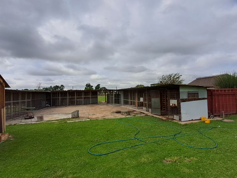 Spacious 1.8 Hectare Smallholding – Endless Potential for Country Living - Photo 4